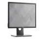 Dell 19 Monitor | P1917S